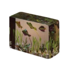 Borské sklo - Paperweight