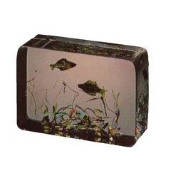 Borské sklo - Paperweight