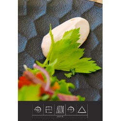 Axum Bohemia News 2019