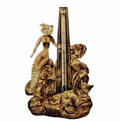 ŽBS -    Thermometer