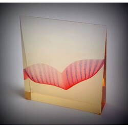 J. Štohanzl - FENIX