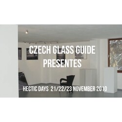 Hectic Days - František Vízner Exhibition - Video