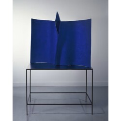 V. Klumpar - Blue bird