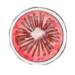 K. Wünsch - 7326/38, Plate