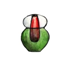 K. Wünsch - 8213/13, Vase