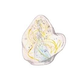 M. Velíšková - 5708 , Paperweight