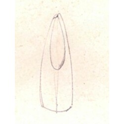 M. Velíšková - 5827 , Vase