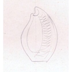 M. Velíšková - 5847 , Vase