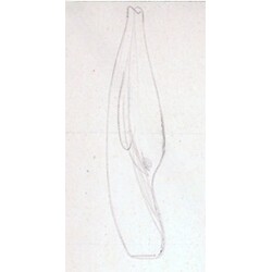 M. Velíšková - 5852 , Vase