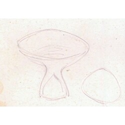 M. Velíšková - 5859 , Vase