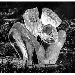 V. + Z. Kepka  -Blossoming  Flower