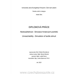 N. Čermáková  - Nedosažitelnost - Diplomová práce  2022