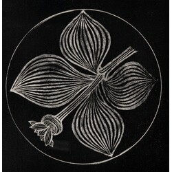 F. Tejml - Plate