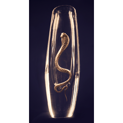 Lobmeyr - HT/22/C, Vase, Cobra