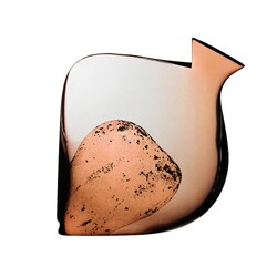Exbor -  70381, Fish