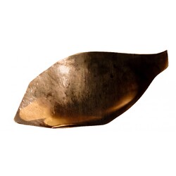Exbor -  70522, Fish