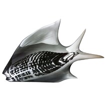 Exbor -  70296/90296, Perch