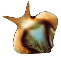 Exbor -  70292/90292, Flatfish