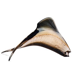 Exbor -  70297/90297, Trout