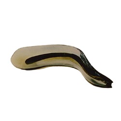 Exbor -  70391, Eel