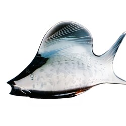 Exbor -  70296, Carp