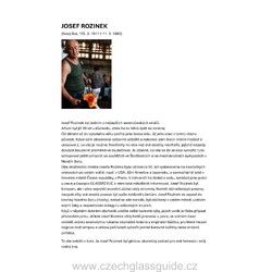 Josef Rozinek