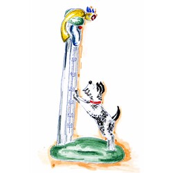 ŽBS -  412002, Thermometer