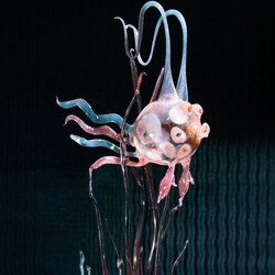 ŽBS - Figure, Aquarium fish 3
