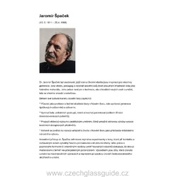 Jaromír Špaček